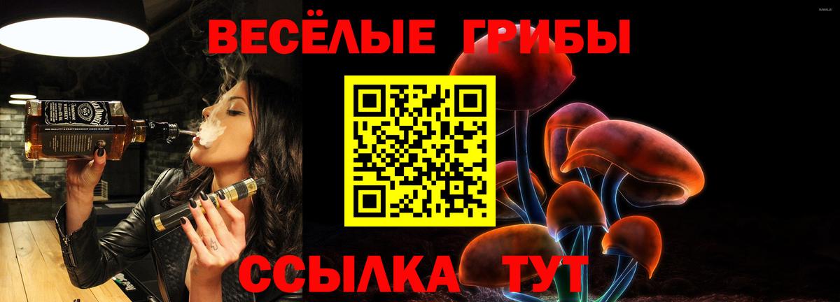 Галлюциногенные грибы Psilocybe Ликино-Дулёво